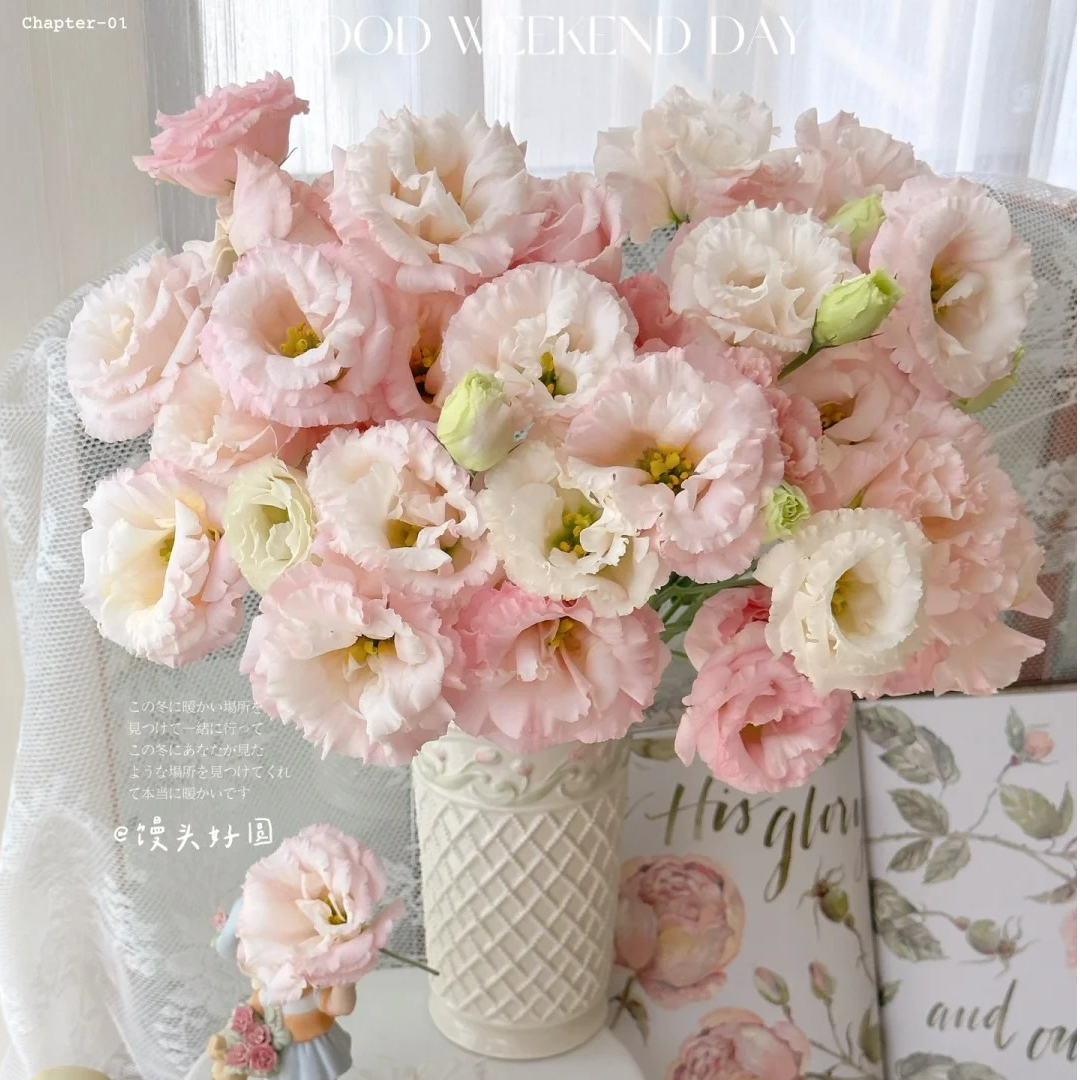 立深流芳-浅粉508洋桔梗鲜切花云南基地直发