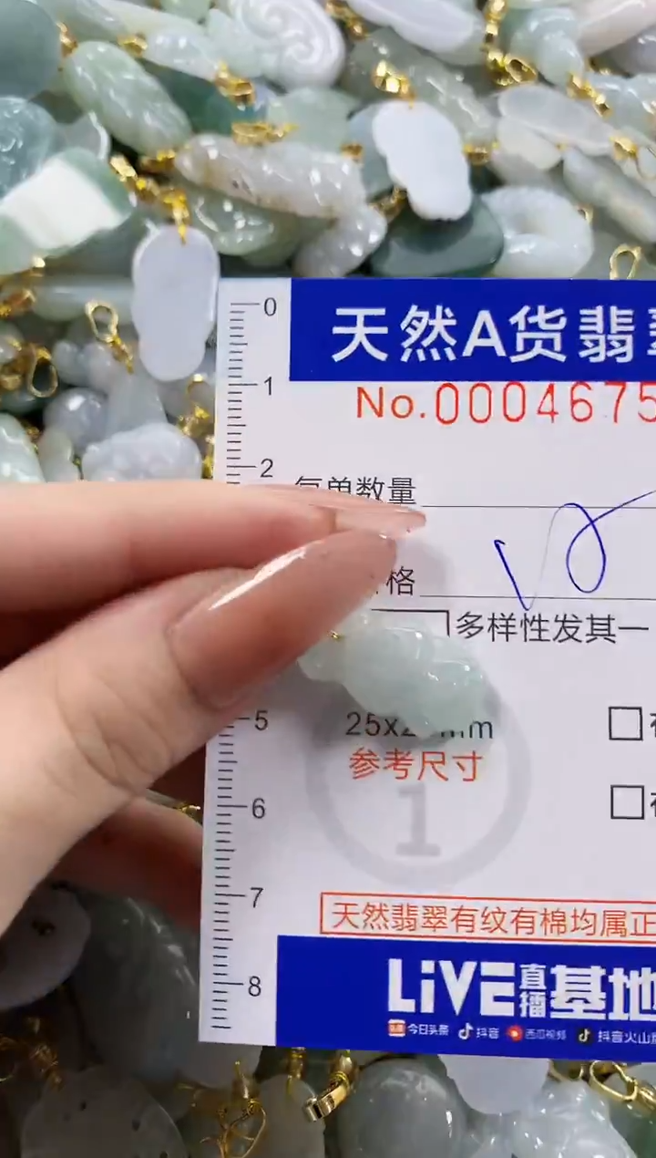 颈饰未镶嵌翡翠天然A货翡翠