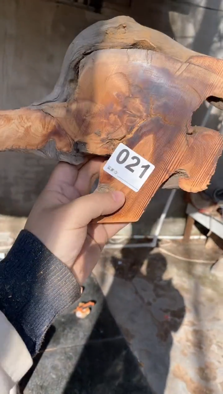 【闪购商品】柏木太行陈化崖柏（津诚林）切片