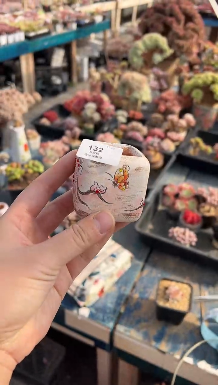 娜*子132              花盆