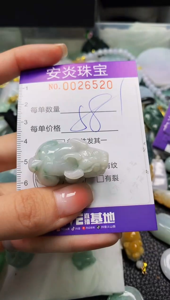 颈饰未镶嵌翡翠闪购0026520