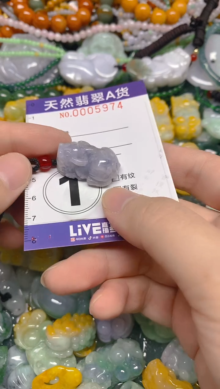 颈饰未镶嵌翡翠0005974