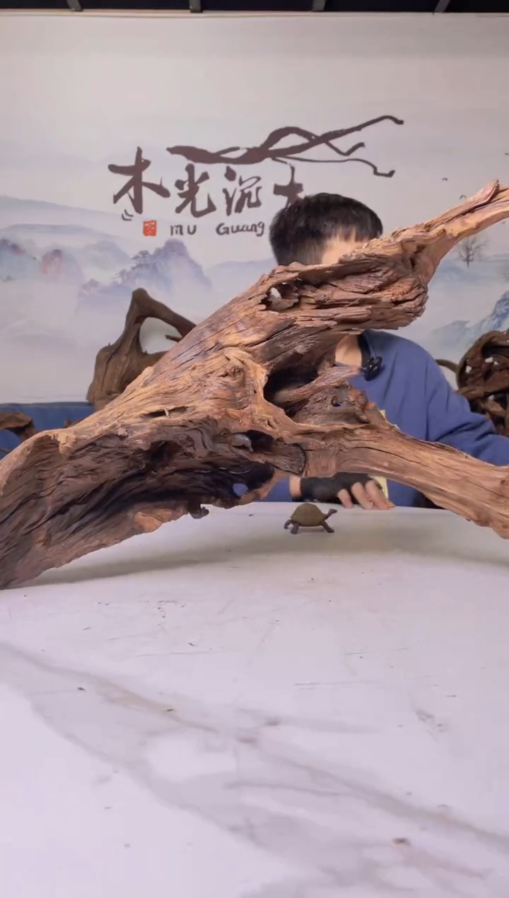 【闪购商品】a105木光沉木木光沉木