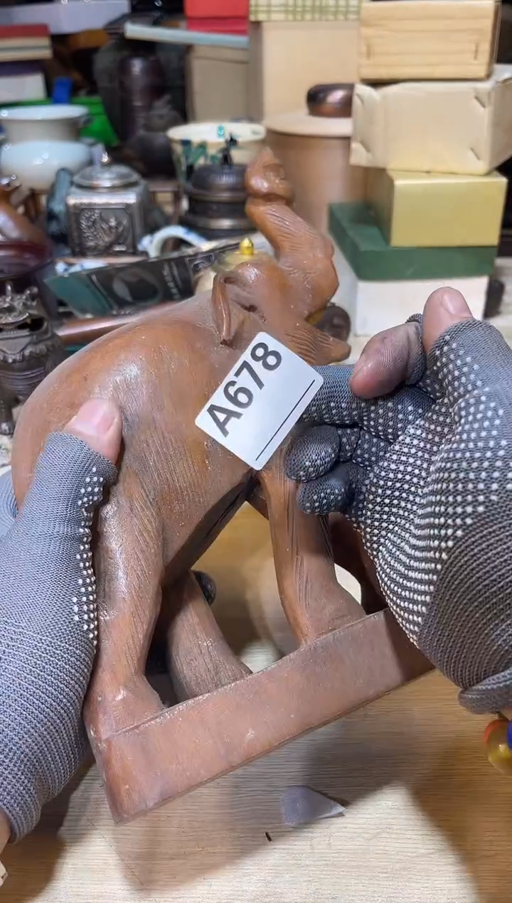 直播定闪专业链接