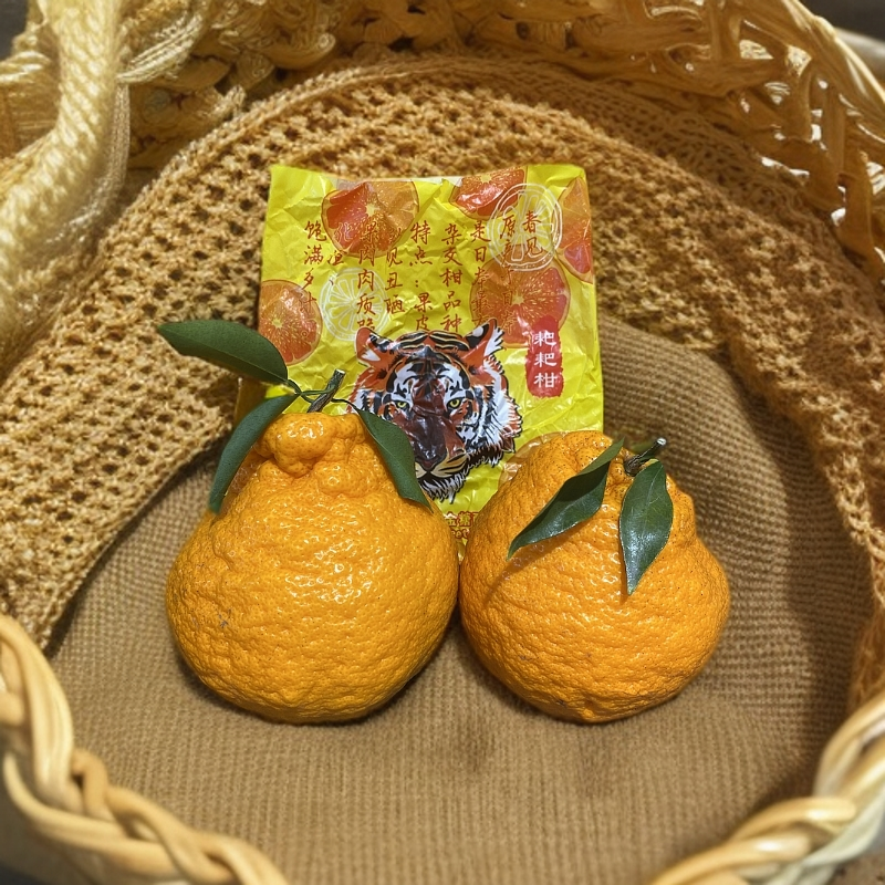 四川老虎头耙耙柑 约4斤