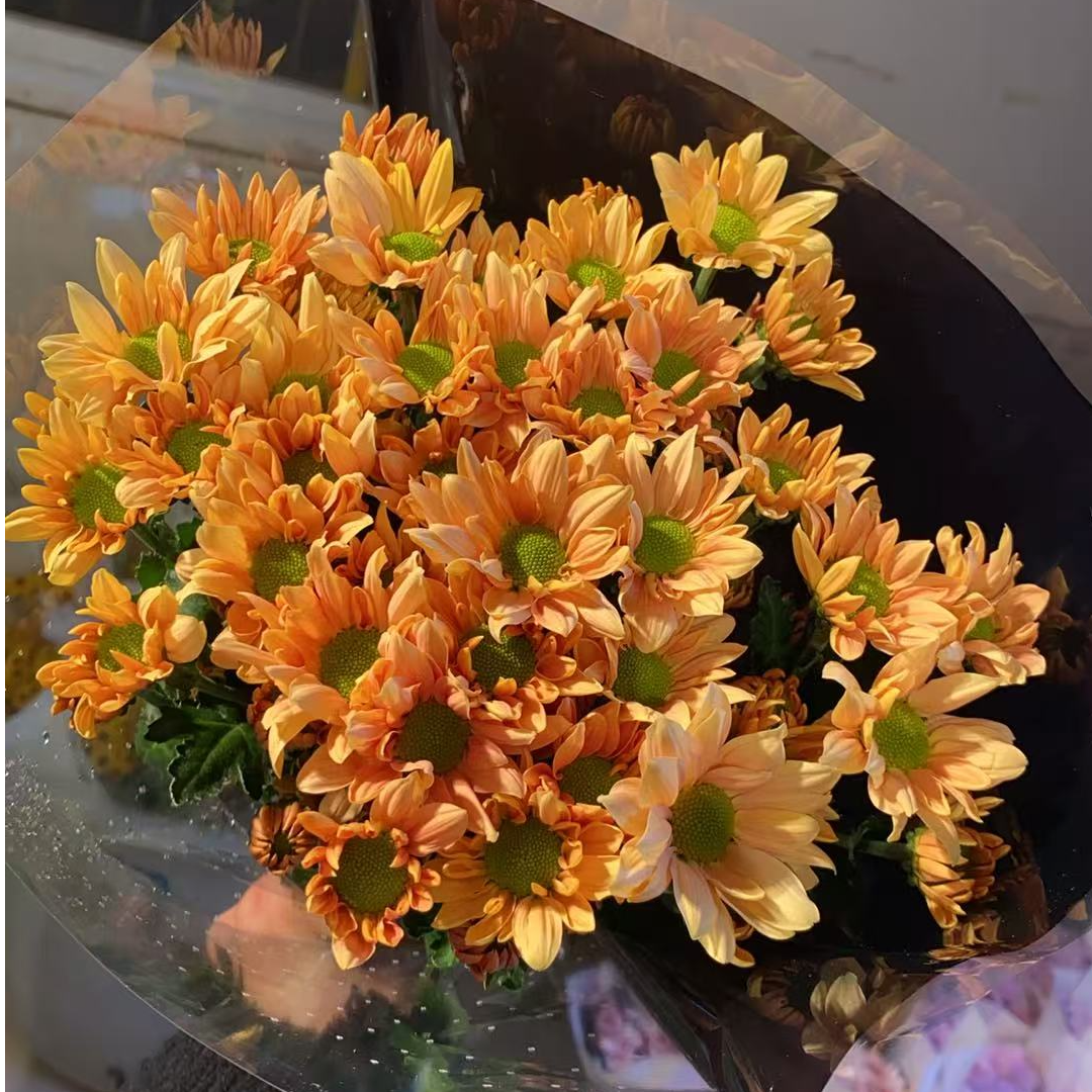 三文鱼（奶油） 小雏菊全店任意N单一个运费