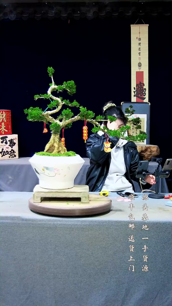 【闪购商品】雀舌黄杨盆景雀舌黄杨盆景