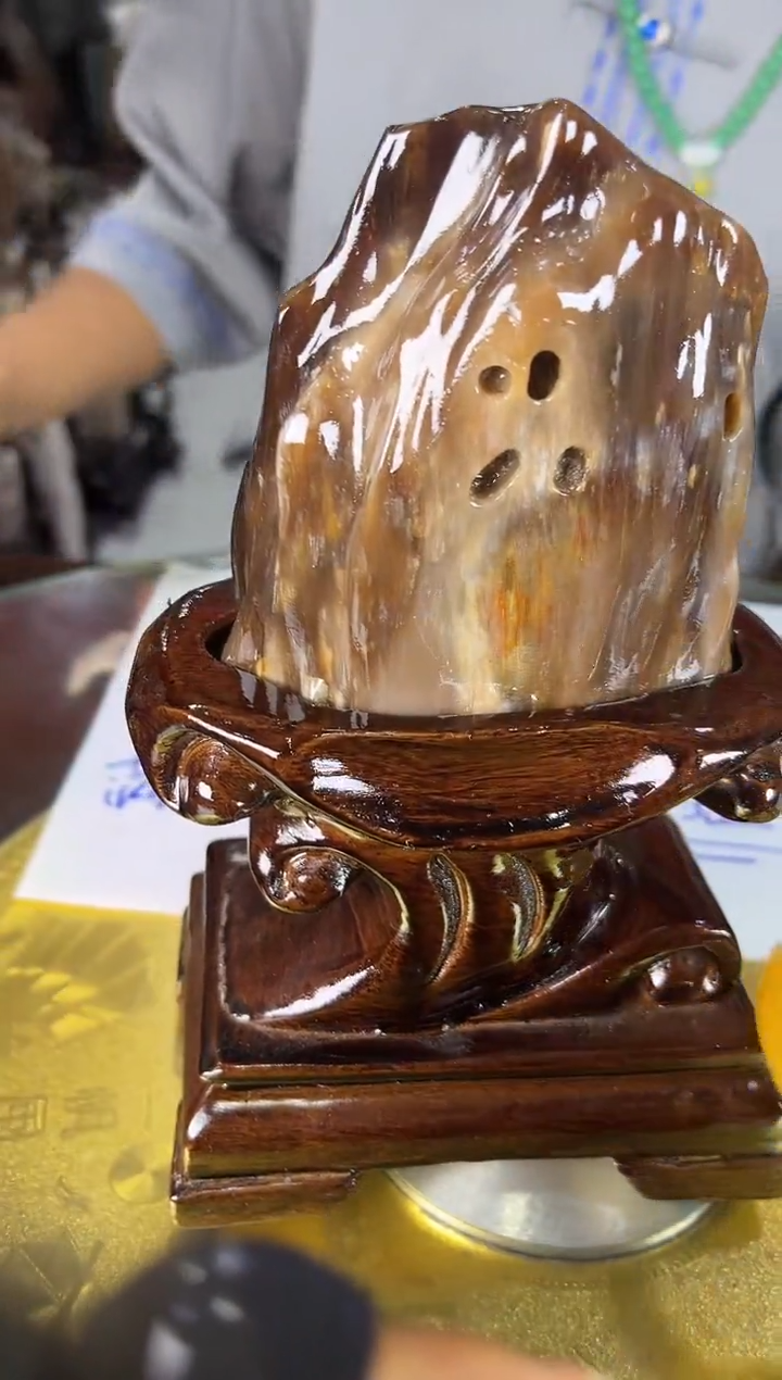 未镶嵌珠宝奇石硅化玉缅甸天然树化玉摆件