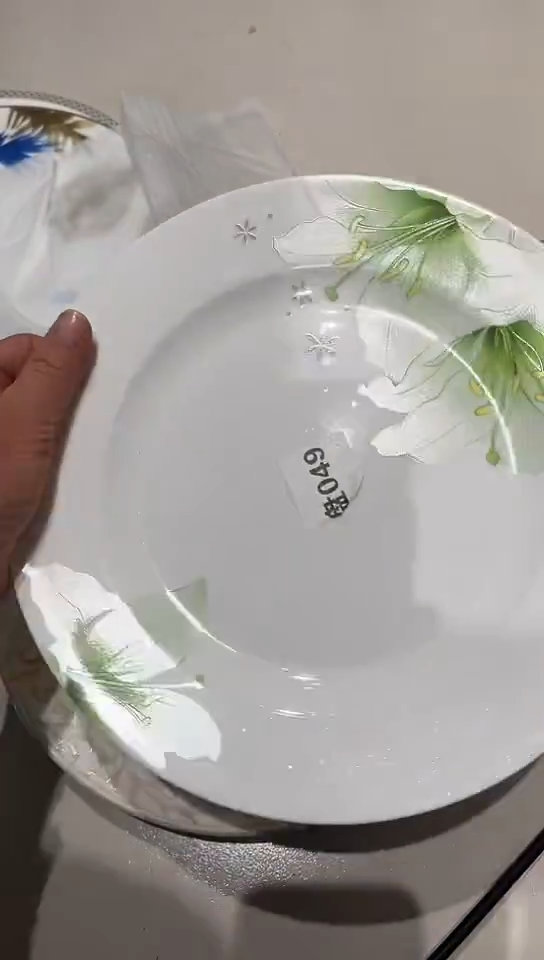 瓷10平盘1个隆达骨瓷