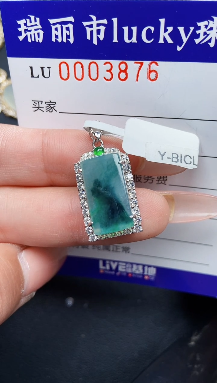 【闪购商品】翡翠颈饰银S925镶嵌3876