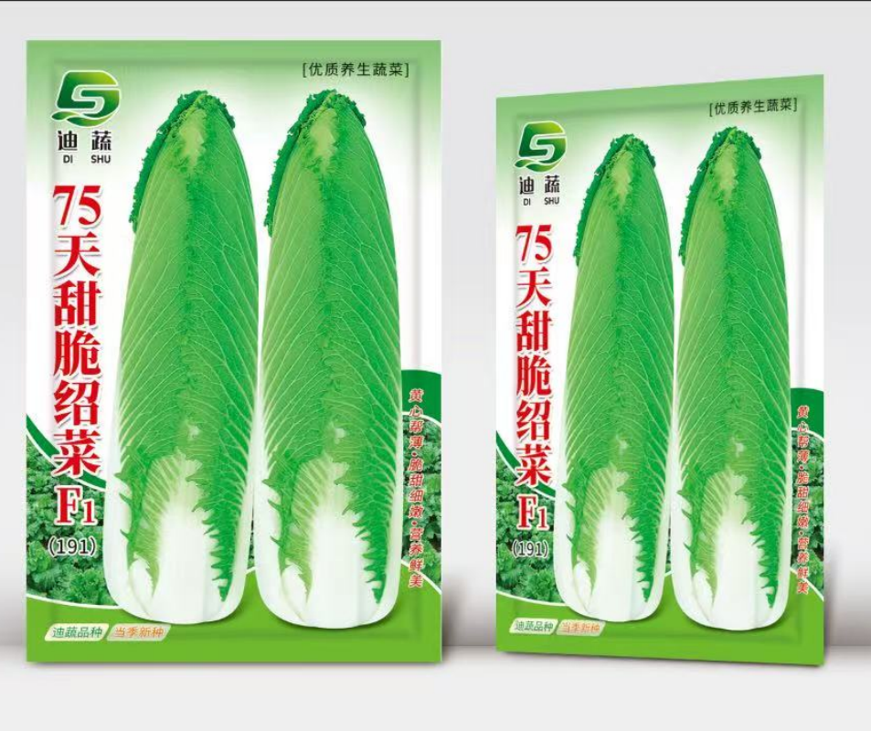 F1杂交品种天甜脆绍菜优质大白菜蔬菜种子(10g)菜籽菜籽种子