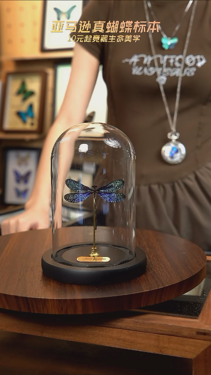 F82暗溪色蟌7寸黑框