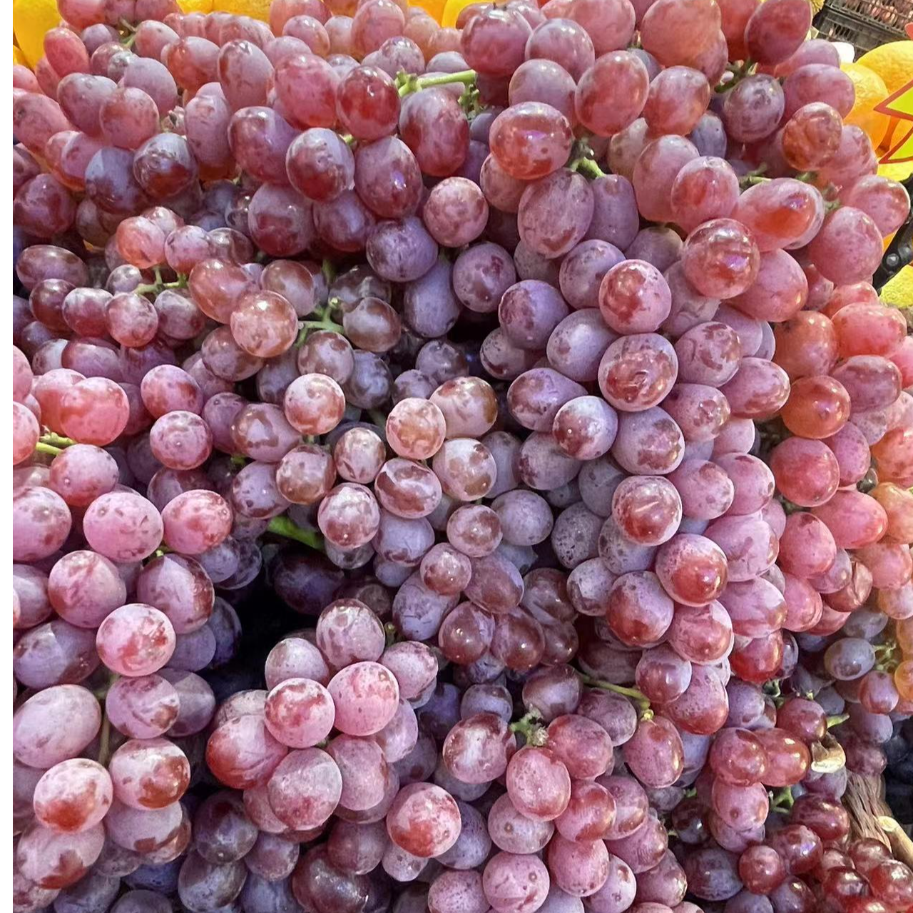 新鲜克伦生葡萄【一公斤】新疆维吾尔自治区