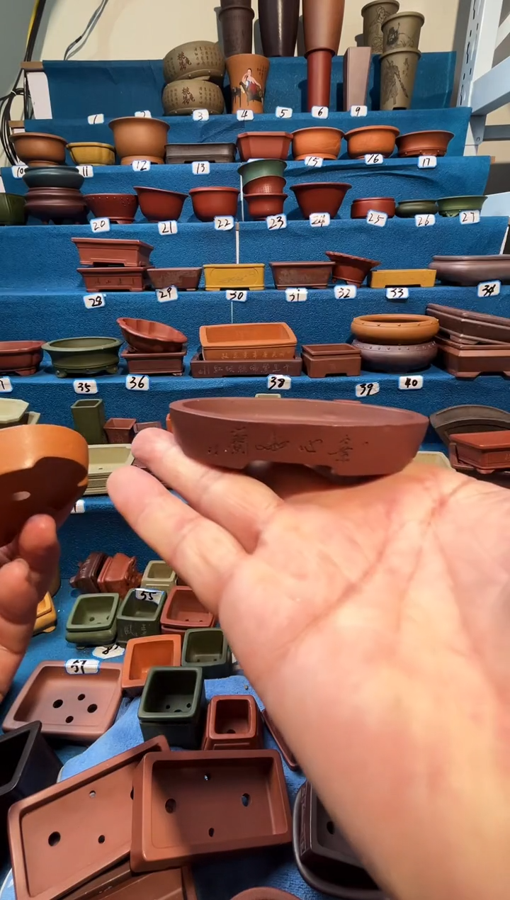 【闪购商品】紫砂紫砂花盆8.5*5*1