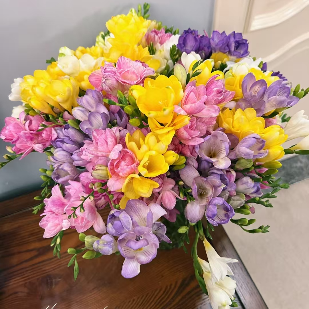 【5株苗！】香雪兰不带花苞开花有香味适合室内阳台盆栽