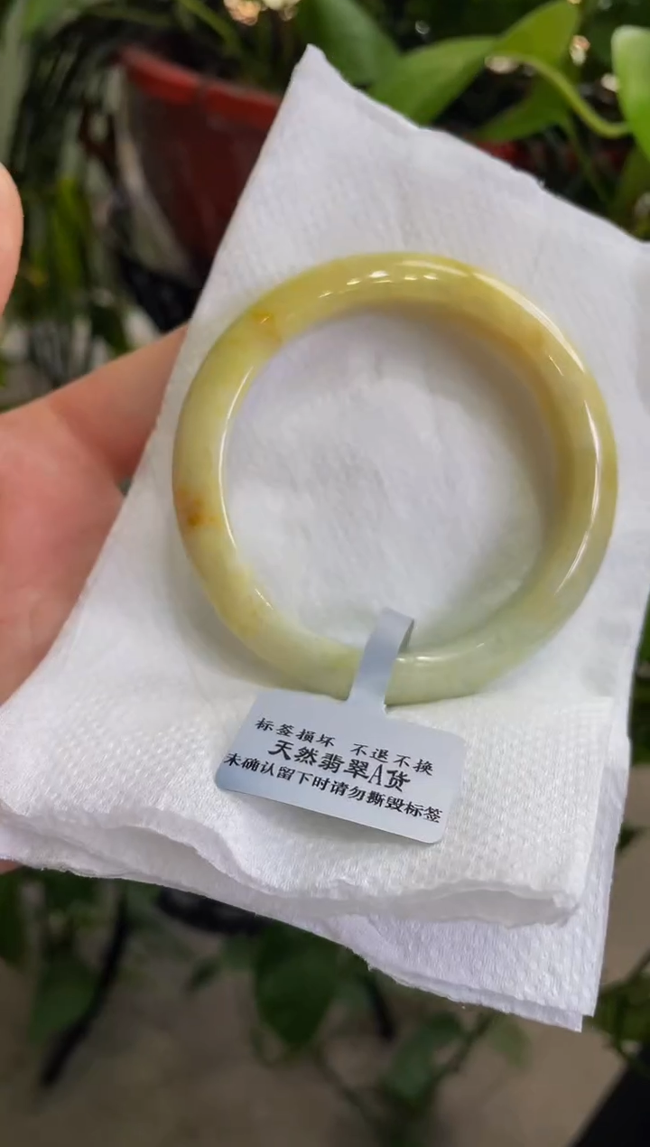 【闪购商品】翡翠手镯未镶嵌006手镯53.7