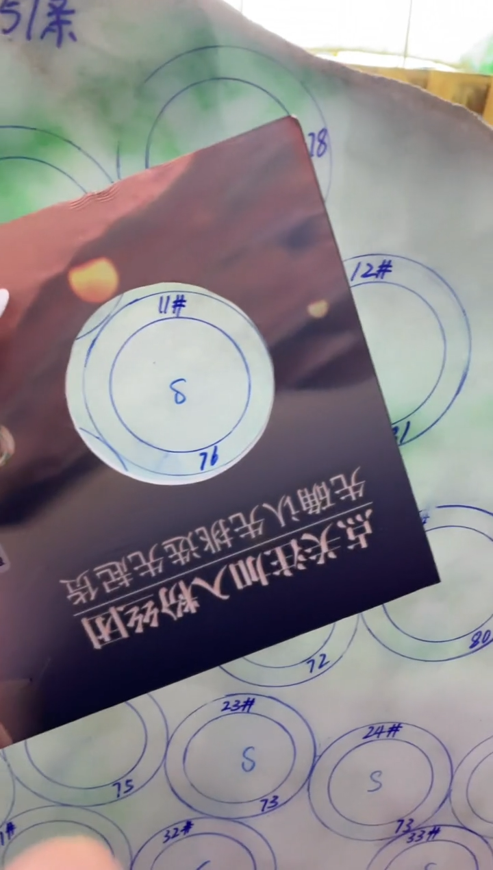 【闪购商品】定制翡翠手镯未镶嵌DDH96625