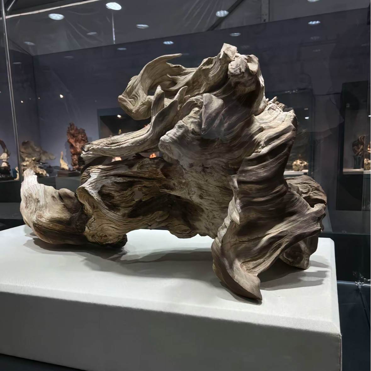 （非主图款）太行 柏木 玄关老物件精雕创意摆件风化老料雕刻金钱