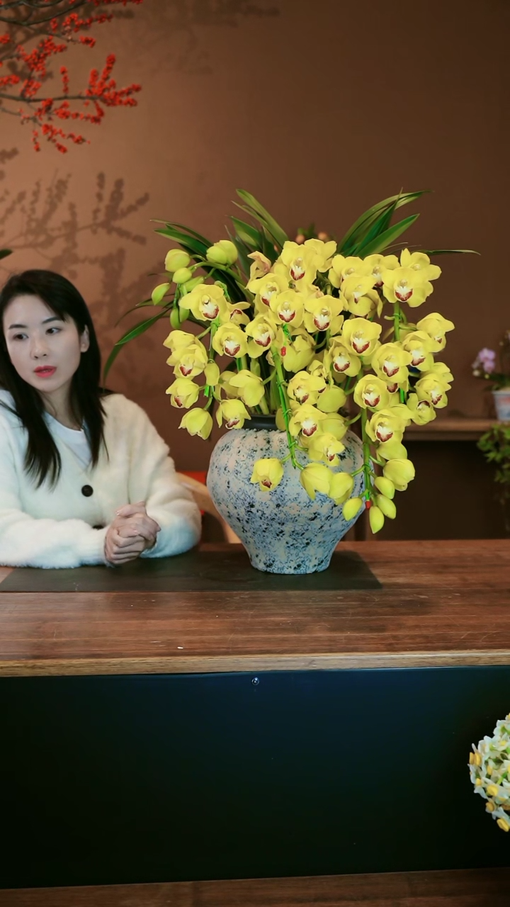 【闪购商品】盆景黄金岁月