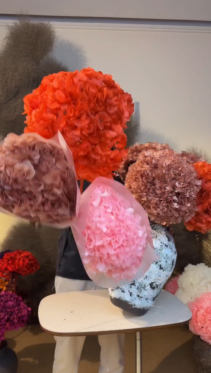 132 山前小麦 · 永生大叶绣球 漂色 3枝  橙咖粉