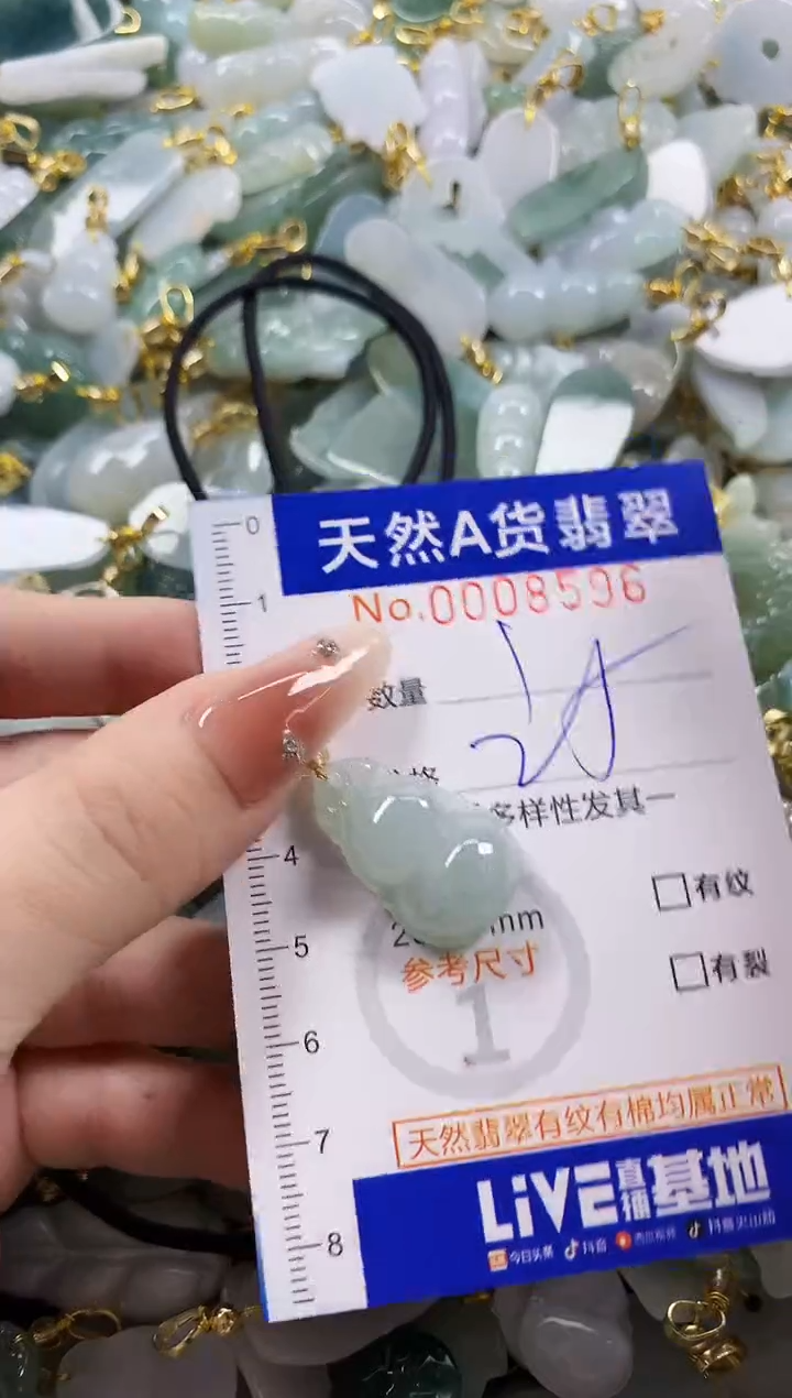 颈饰未镶嵌翡翠天然A货翡翠