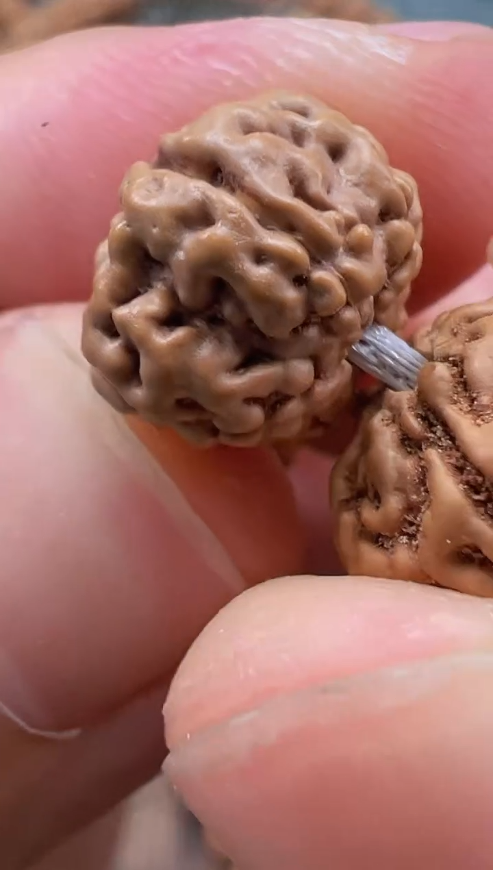 金刚菩提手串654老树梅花尺寸8-12+纳米刷