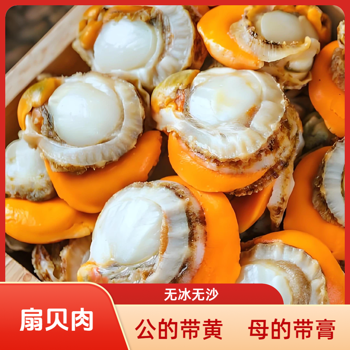 【新疆包邮】新鲜大号扇贝肉 去壳无沙带膏带黄 250g/包 
