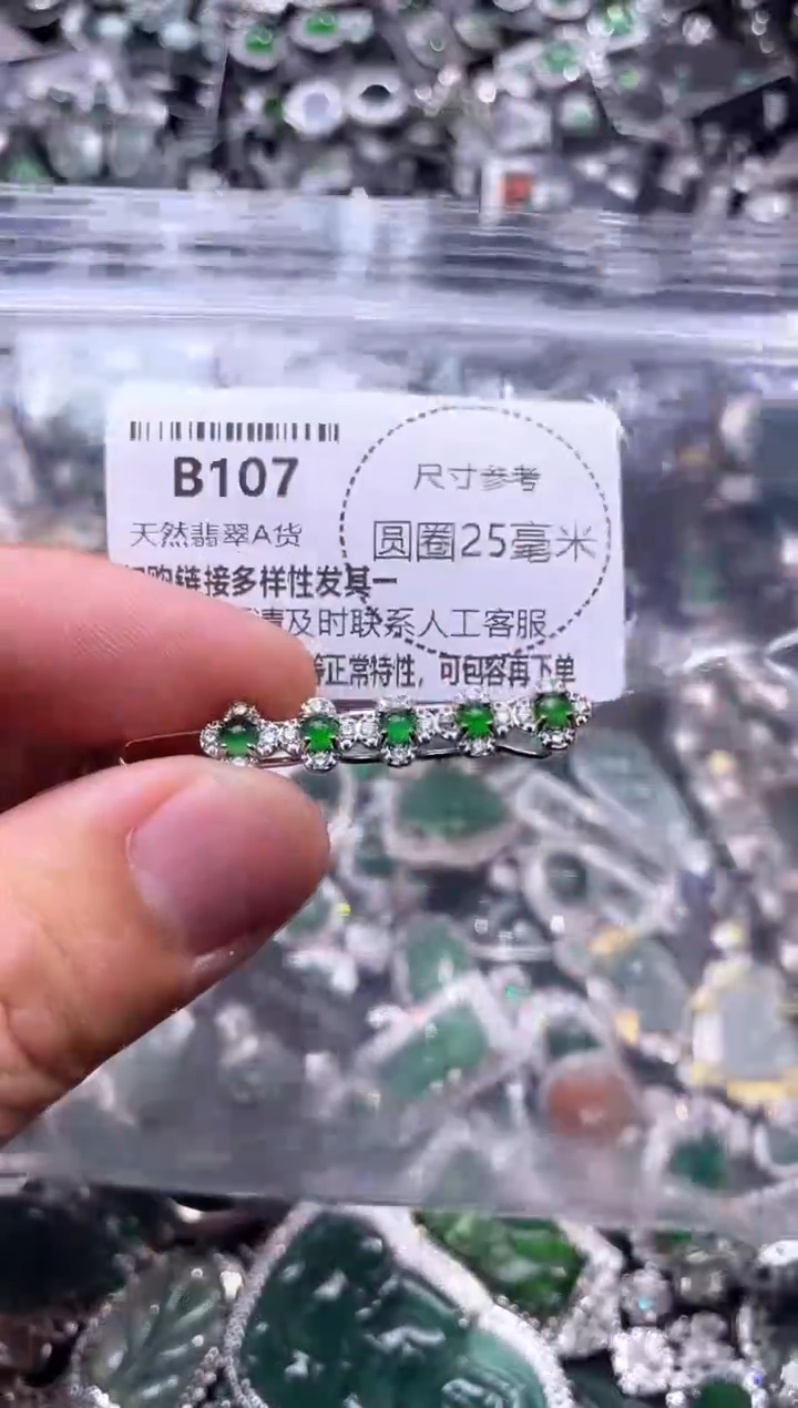 翡翠未镶嵌颈饰B107发夹
