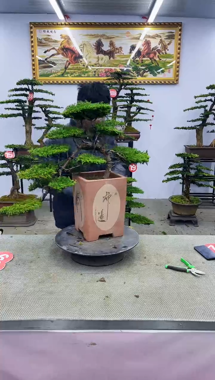 【闪购商品】一物一拍，所见即所得啊啊 一物一拍，所见即所得