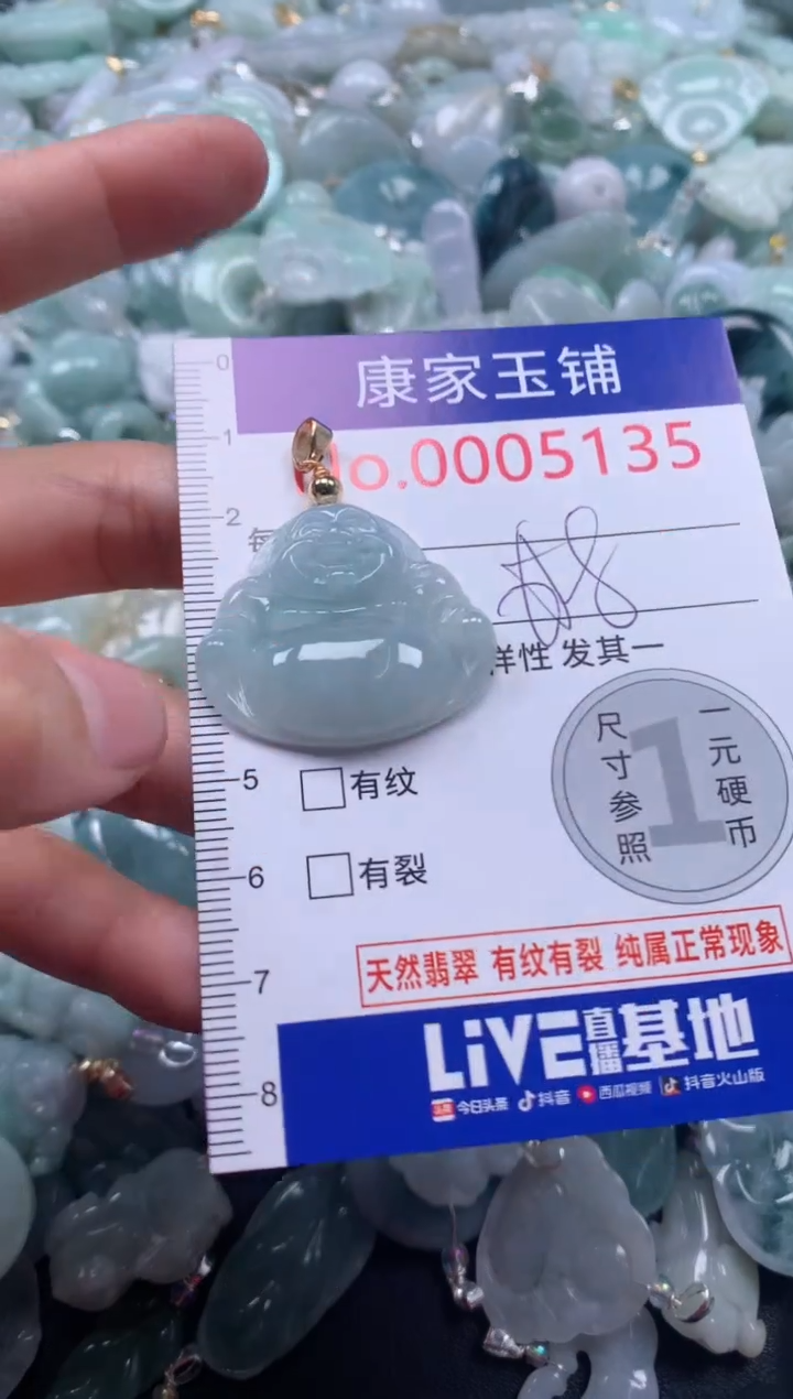 颈饰未镶嵌翡翠5135