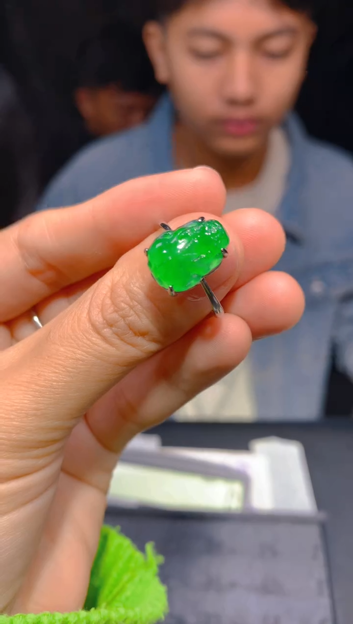 【闪购商品】定制翡翠未镶嵌93多样性发货（发其一）