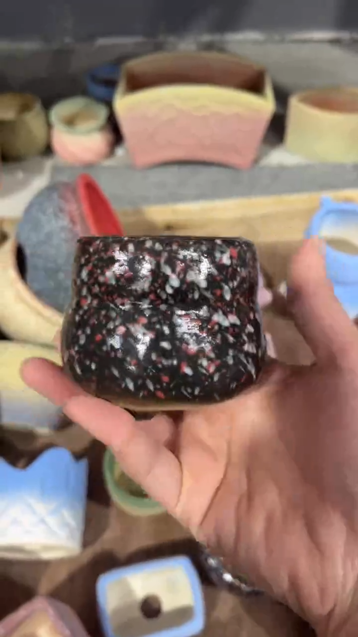 【闪购商品】红陶8*6