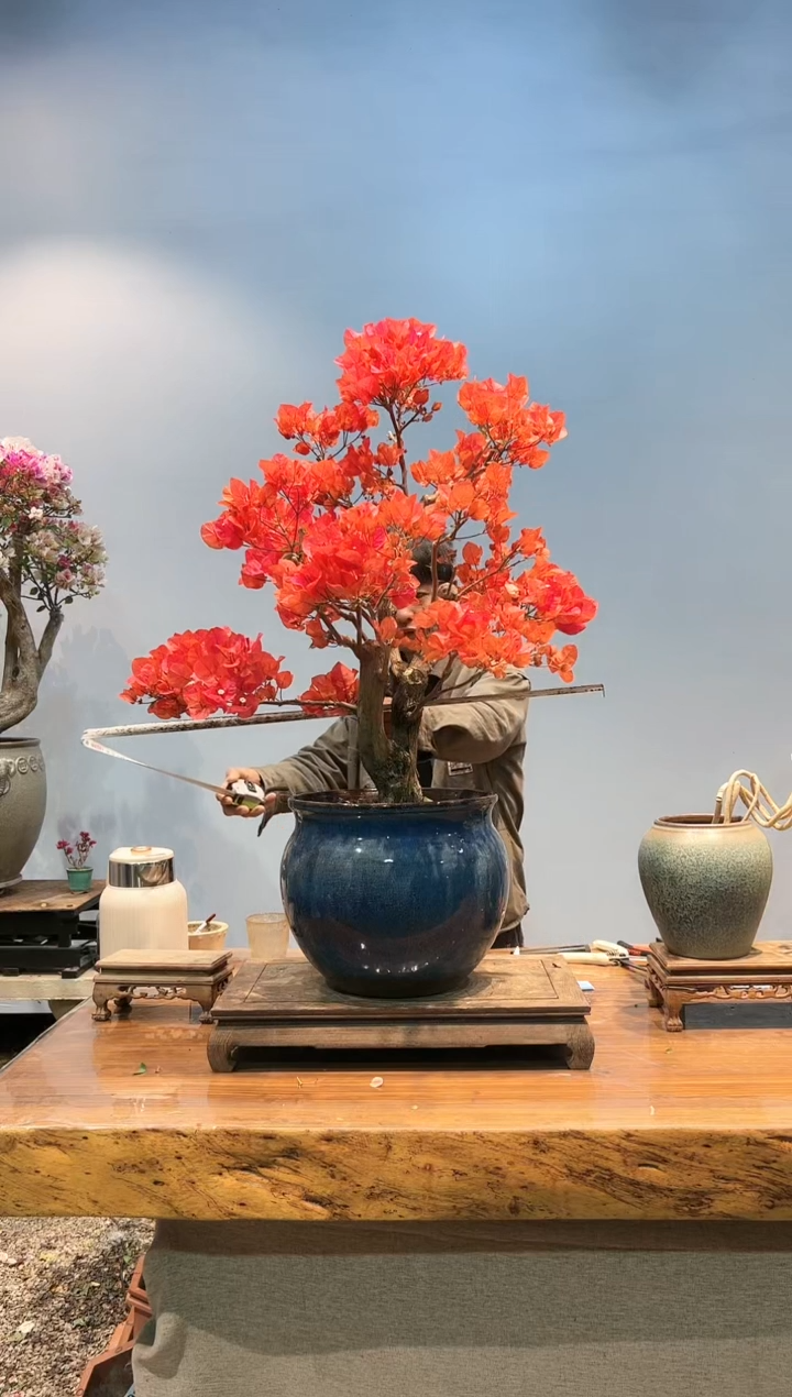 【闪购商品】AA915