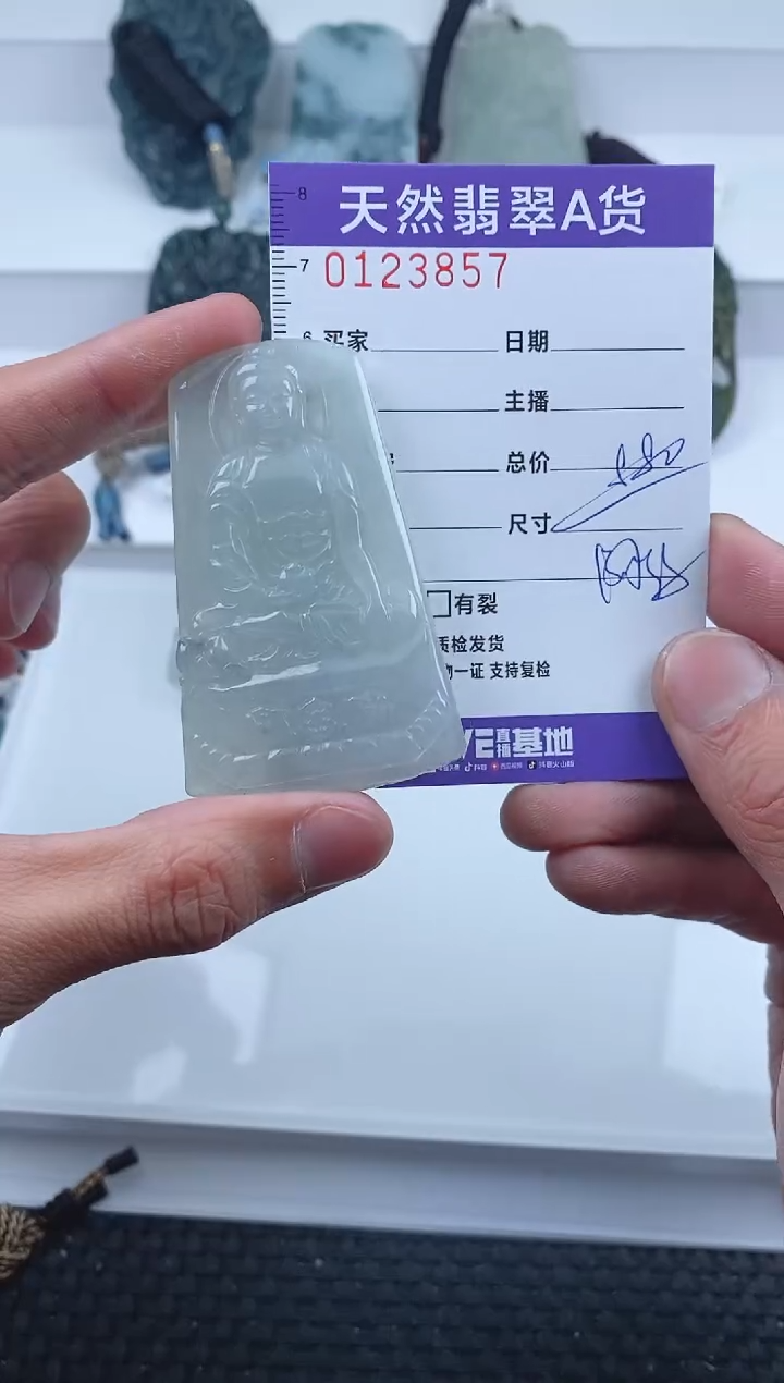 【闪购商品】翡翠颈饰未镶嵌         857