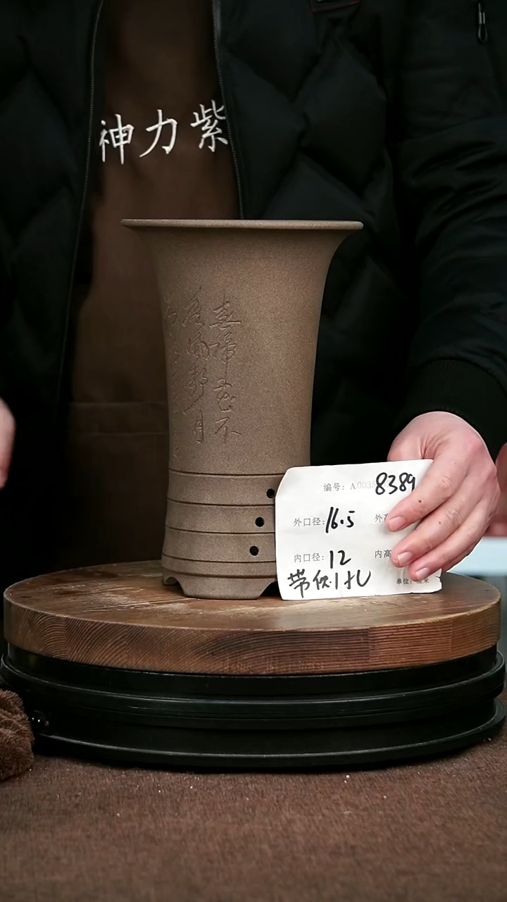 紫砂花盆花卉园艺8389