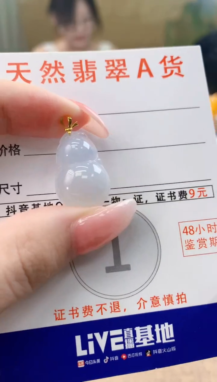 颈饰未镶嵌翡翠天然A货翡翠挂件