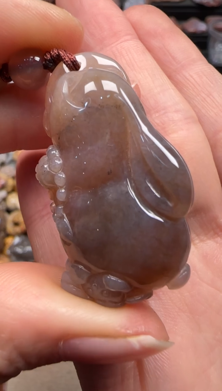 【闪购商品】硅化珊瑚（珊瑚玉）颈饰未镶嵌653