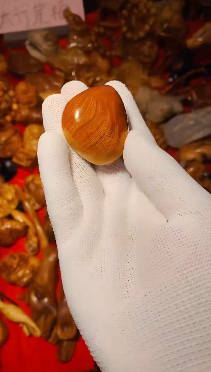 【闪购商品】柏木79崖柏崖柏崖柏