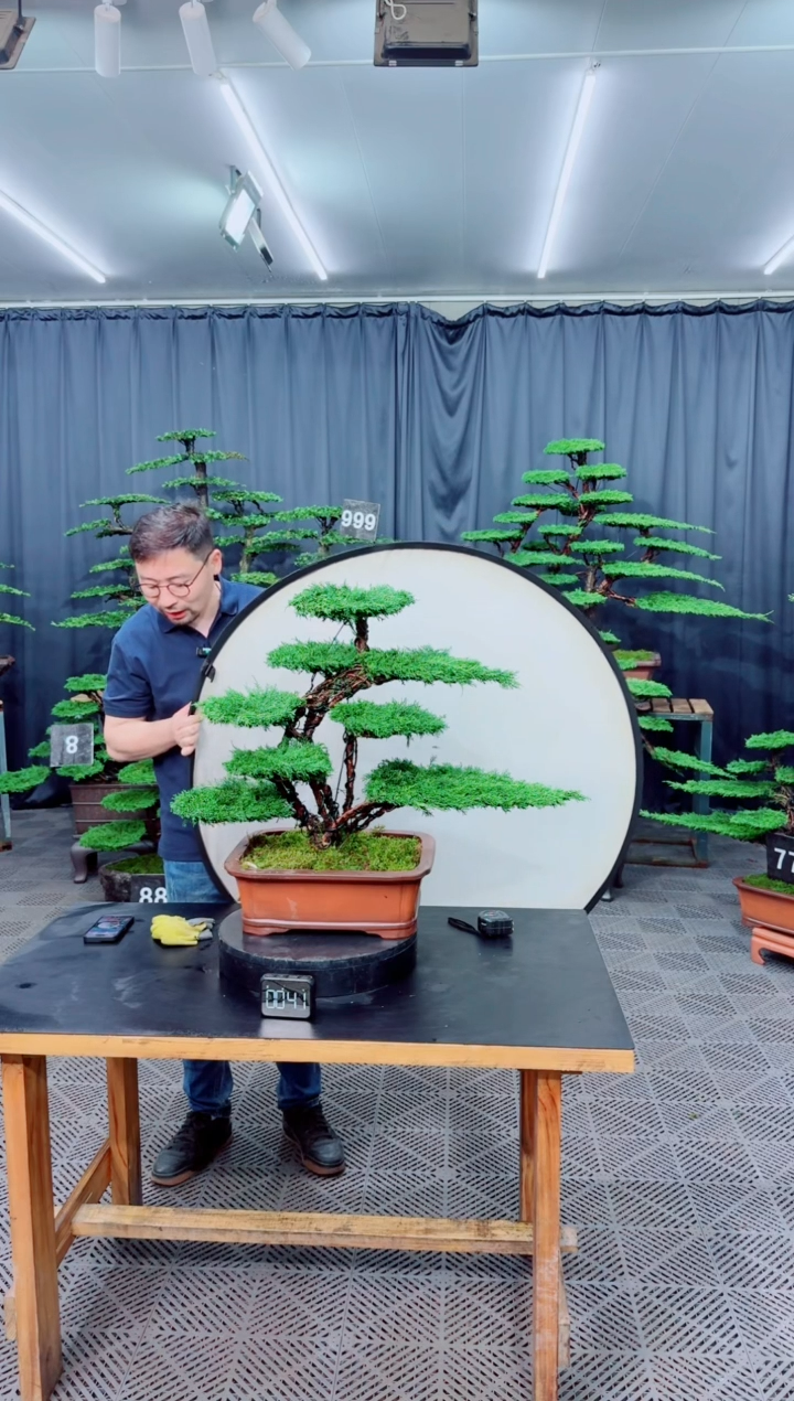 无花朵兼职直播盆景........