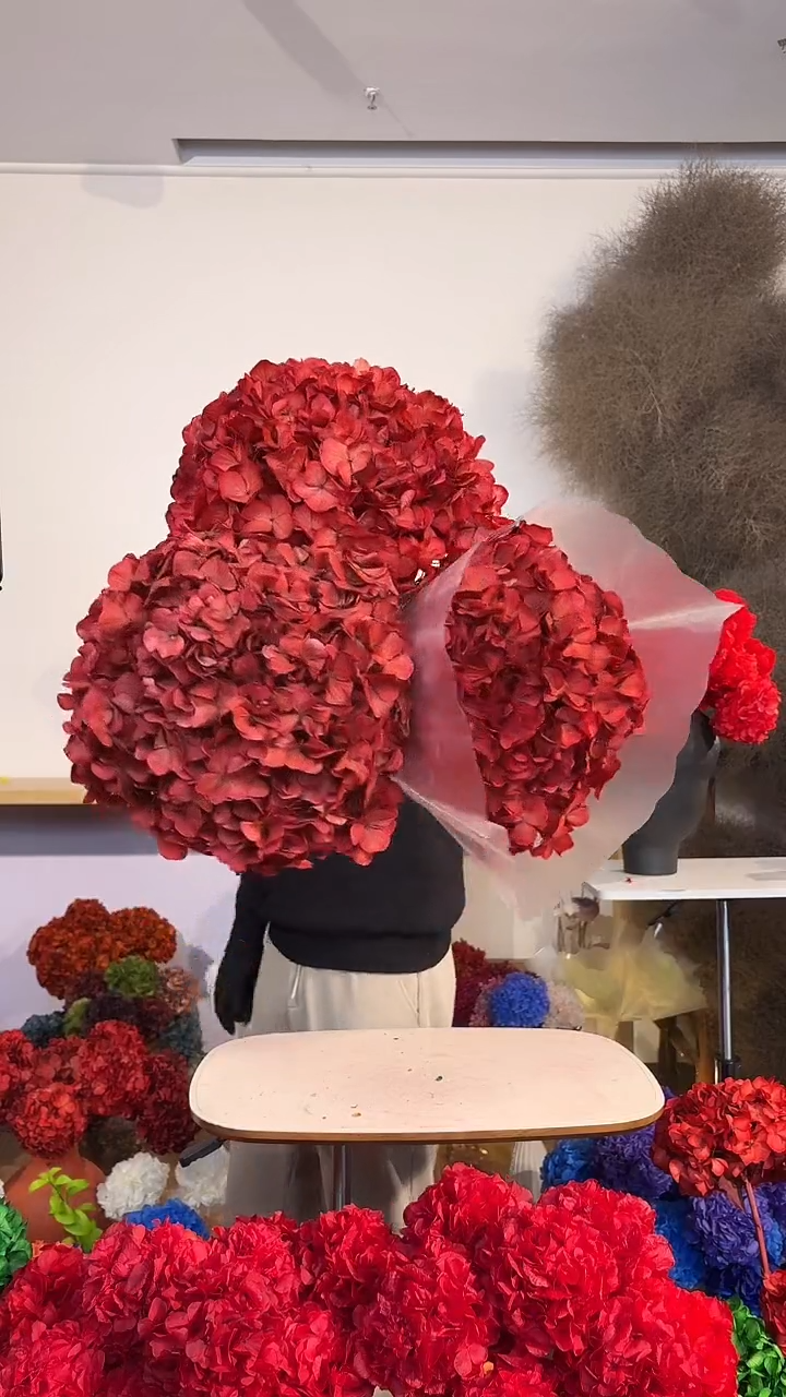 泡***跳吸色永生大叶绣球 3枝  复古红