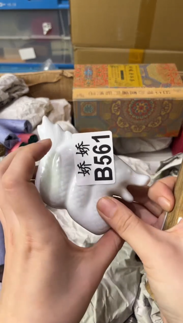 瓷片B****鹂561定向 Book思议旅行·深圳桦鹂