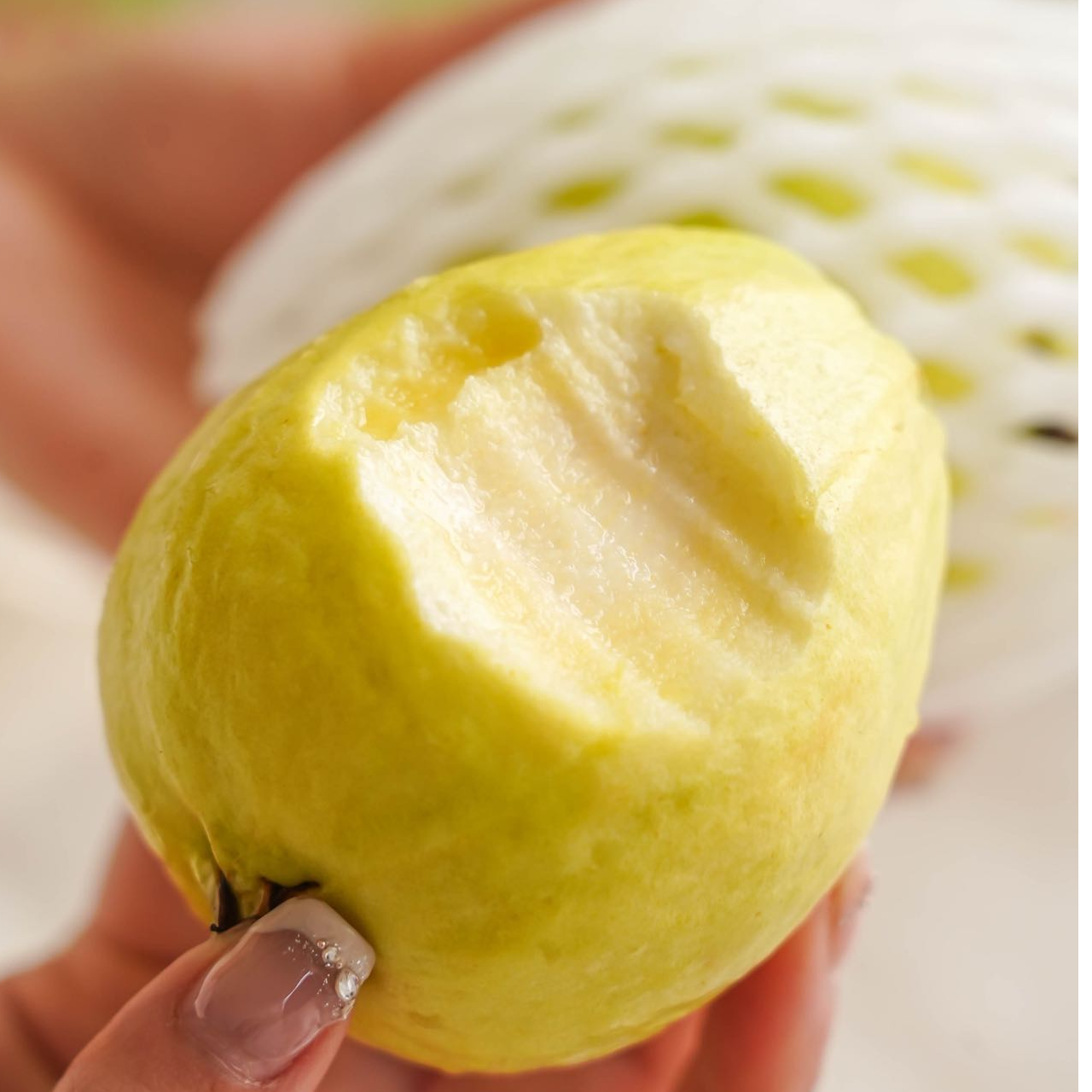 奶油芭乐-1件（带箱2.8左右斤）