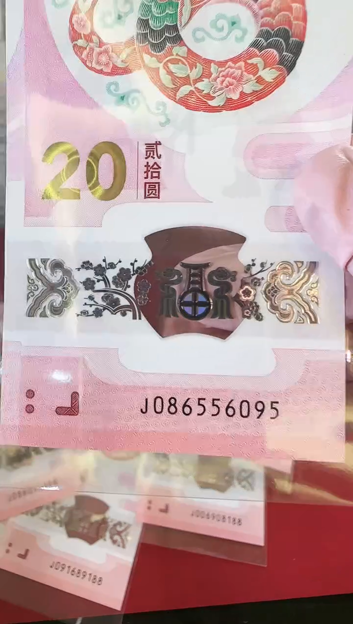 【闪购商品】塑料25蛇钞啊啊啊啊啊啊啊啊单张裸