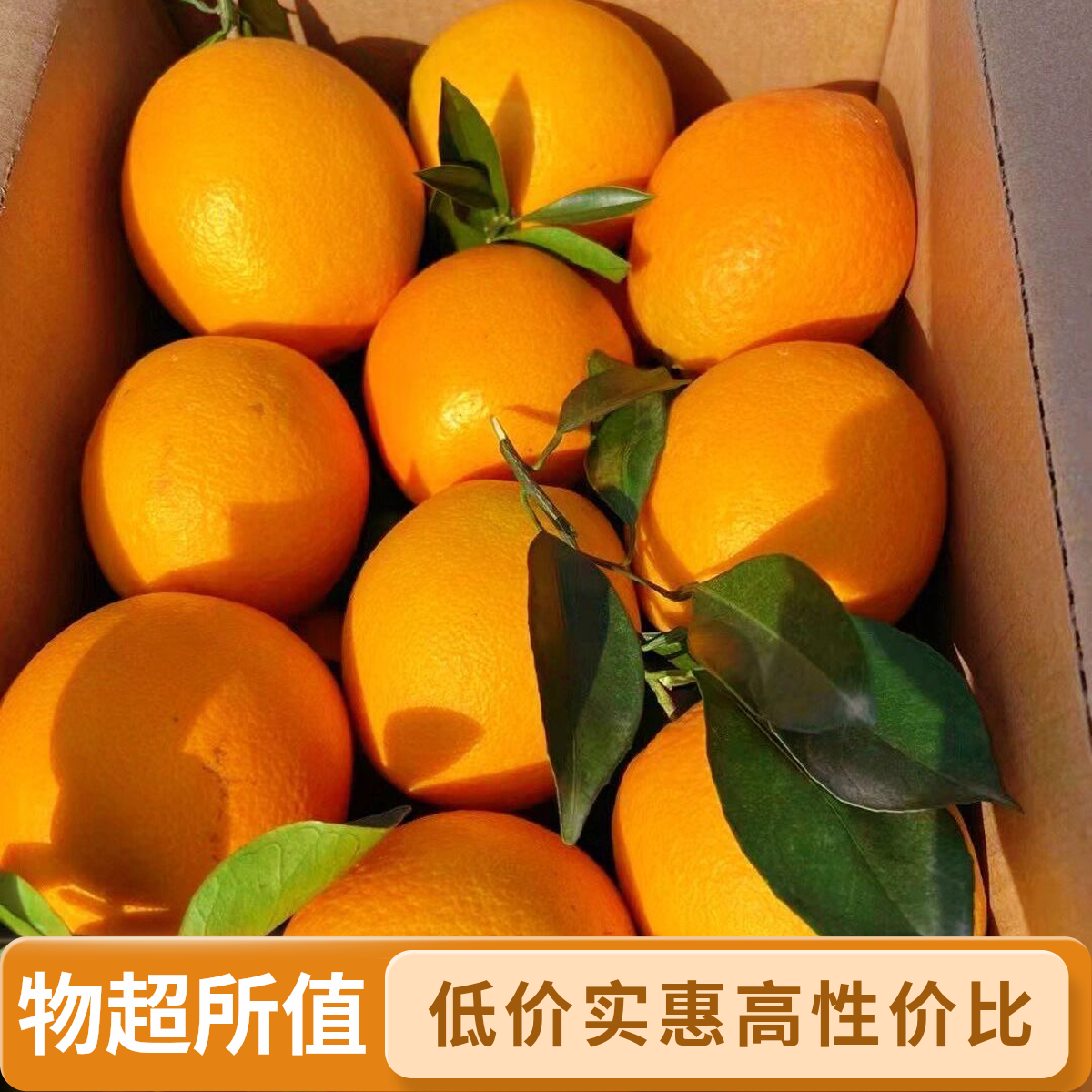 【果农现采现发】当季时令水果高山老树脐橙新鲜水果皮薄多汁