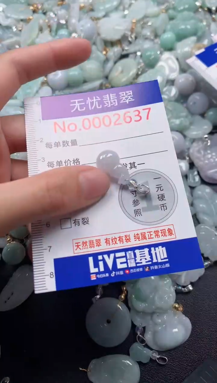 颈饰未镶嵌翡翠2637