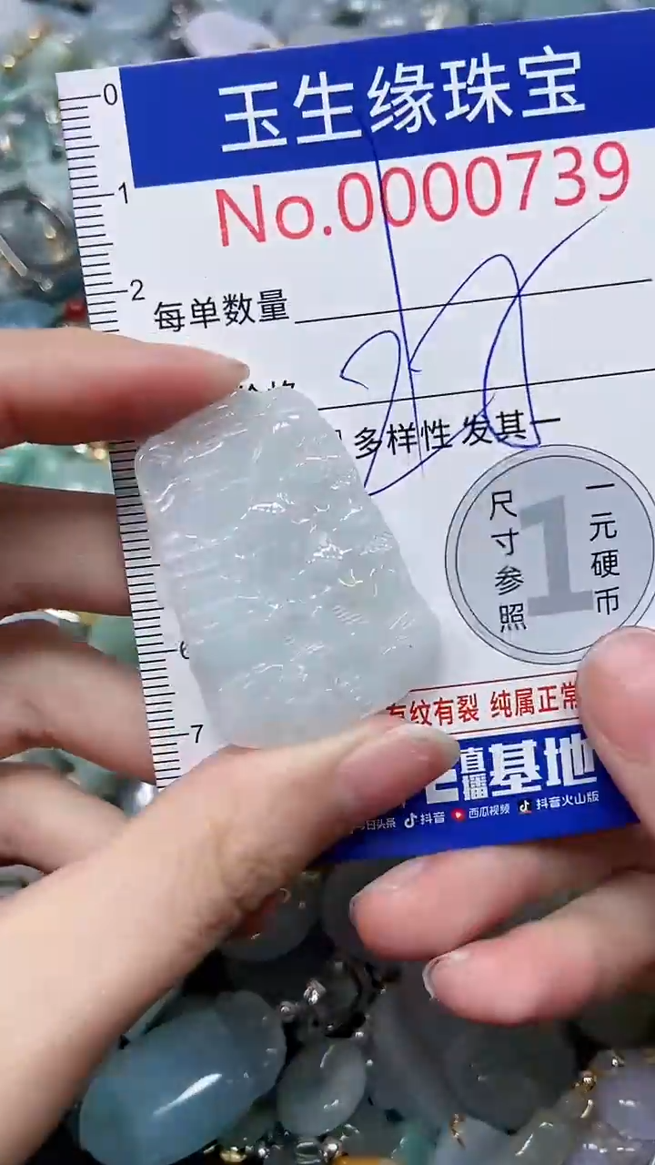 【闪购商品】翡翠颈饰未镶嵌闪购0000739