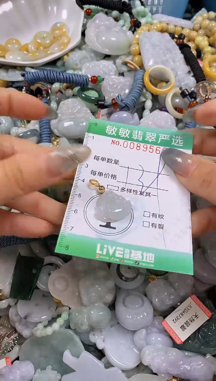 【闪购商品】翡翠颈饰未镶嵌闪购0089567