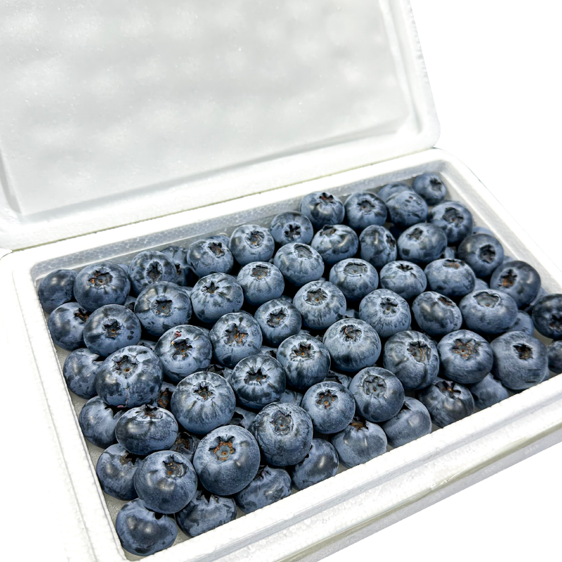【喜农夫旗舰店】蓝莓L25/一盒装包邮到家