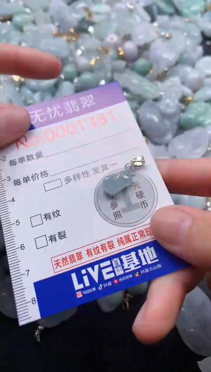 颈饰未镶嵌翡翠1381