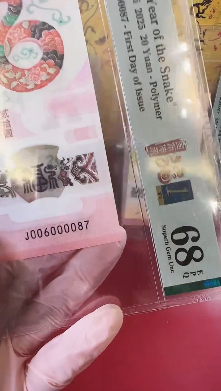 【闪购商品】塑料2025蛇钞单张裸啊啊啊啊